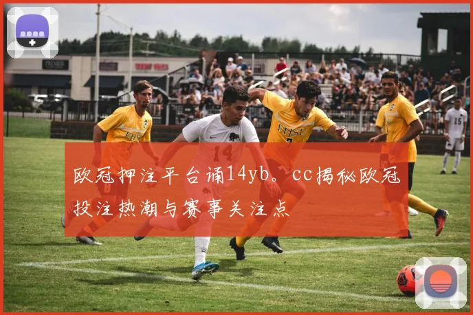 欧冠押注平台诵14yb。cc揭秘欧冠投注热潮与赛事关注点