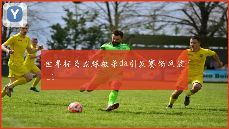 世界杯乌龙球被杀da引发赛场风波 _1