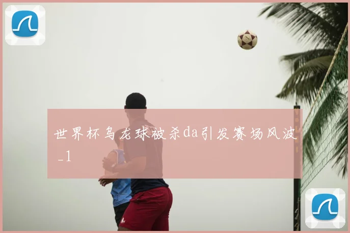 世界杯乌龙球被杀da引发赛场风波 _1